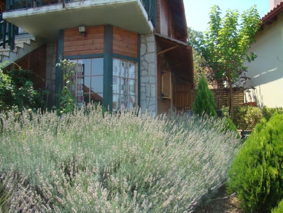 Zeus-Village Οικισμός Φινλανδικών Chalet Με Πισίνες & Γυμναστήριο Molos  Zimmer foto